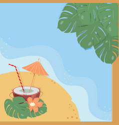 Cocktail In Half Coconut With Straw Parasol