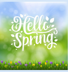 Spring Text Banner With Bokeh And Grass And