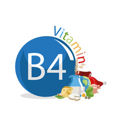 Vitamin B4 Choline