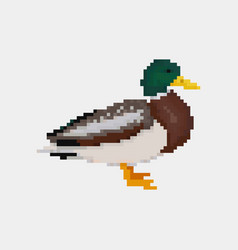 Old School 8 Bit Pixel Art Seagull Standing