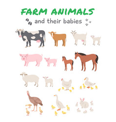 Female Farm Animals With Offspring