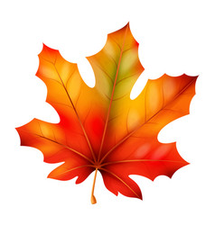 Realistic Autumn Leaves Fall Orange Wood Foliage