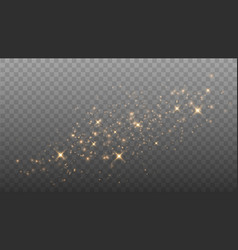 Gold Light Glitter Particles