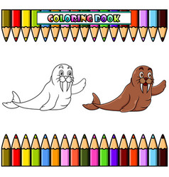 Cartoon Walrus For Coloring Book