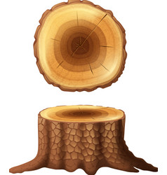 Tree Stump Two Views Icons Set