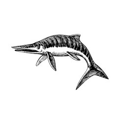 Prehistoric Reptile Giant Ichthyosaur