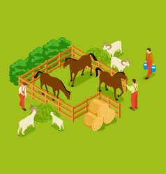 Isometric Fence Gates And Farm Garden Wired Vector Image