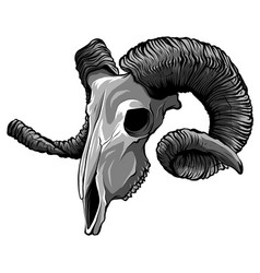 Monochromatic Realistic Red Goat Skull