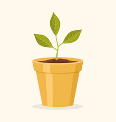 A Plant In A Yellow Flowerpot On A Beige