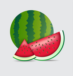 Realistic Watermelon Design Icon Fresh