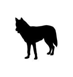 Wolf Silhouette