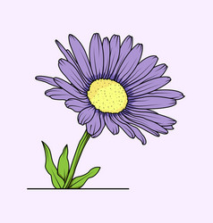 Aster Flower