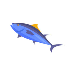 Blue Fish Concept