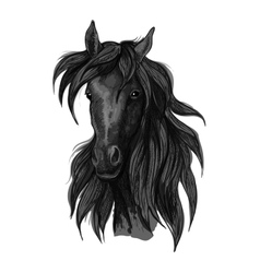 Black arabian horse head symbol Royalty Free Vector Image