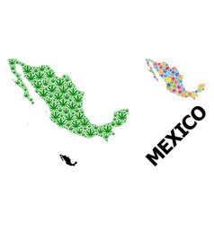 Collage Map Mexico Colored And Green