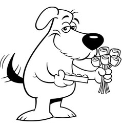 Cartoon Dog Holding A Box Chocolates