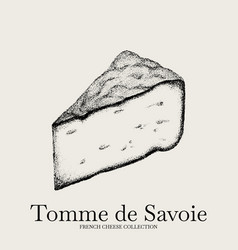 Hand Drawn Of Tomme De Savoie Cheese Template