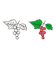 Red Currant With Leaves Black And White And Color