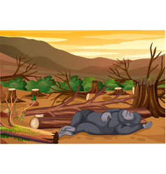 Scene With Dying Monkey And Deforestation