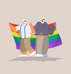 Two Senior Men Holding Lgbt Rainbow Flag Gay