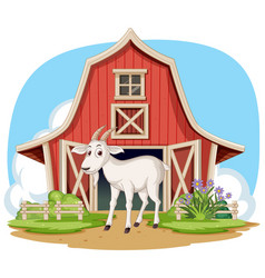 A Goat Standing By A Barn