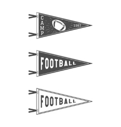 College Football Pennant Flags Set