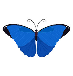 Blue Butterfly Icon Night Moth Flying Insect