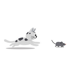 Grey Kitty Chases A Mouse Cat Kitten Runs