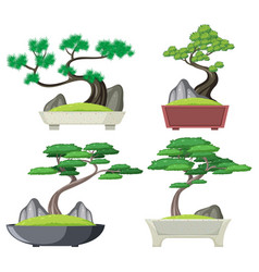 Set Of Bonsai Tree Isolated