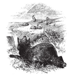 Wolf Hunting Rabbits Vintage