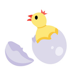 Egg Hatching