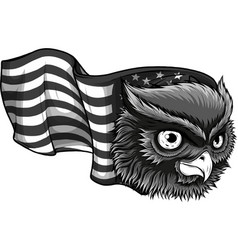 Monochromatic Of Owl With American