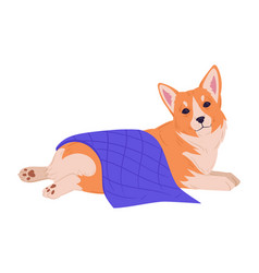 Corgi Dog Cartoon Cute Resting Pet Happy