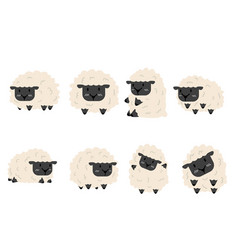 Cute Funny Black Sheep Set