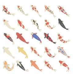 Set Of Top View Koi Fish