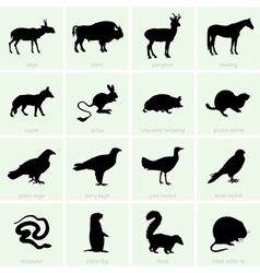 Steppe Animals