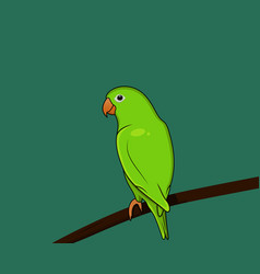 Cute Green Parrot Perch On Branch