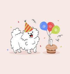 Birthday Dog Concept