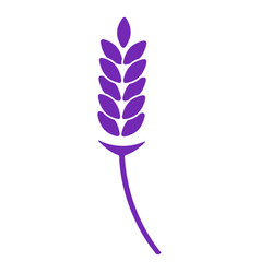 Lavender Flower In A Stem Cut Out