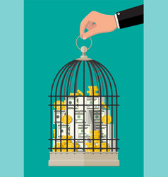 Bird Cage Full Gold Coins And Banknotes