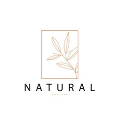 Minimalist Feminine Botanical Flower Beauty Line