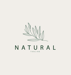 Minimalist Feminine Botanical Flower Beauty Line