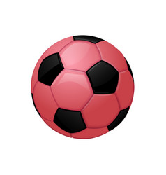 Pink Football Or Soccer Ball Sport Equipment Icon