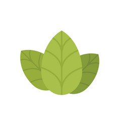 Italian Basil Icon Flat Herb Leaf