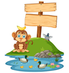 Cute Monkey Sitting By A Pond With Ducks And Bird