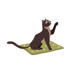 Black Kitten Sitting On Mat Raising Paw