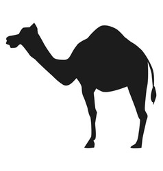 Camel Silhouette Black Desert Animal Icon