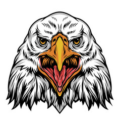 Colorful Angry Eagle Head Template