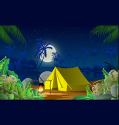 Camping On Beach In Night