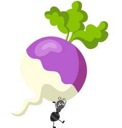 Cute Ant Carrying A Turnip